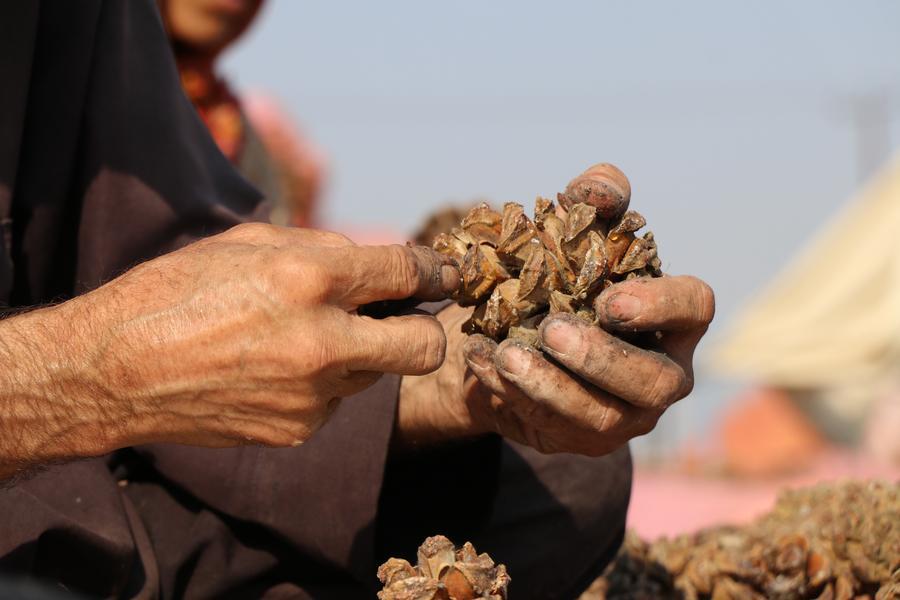 中巴貿易合作惠及當地產業(yè)與民生
